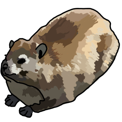 a semi-shaded, black-outlined drawing of a rock hyrax, viewed lying down, at a 3/4 angle from above.
